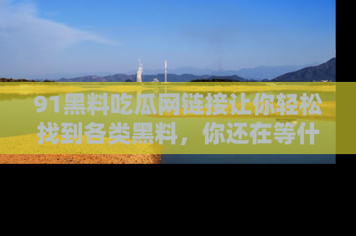 91黑料吃瓜网链接让你轻松找到各类黑料,你还在等什么呢?