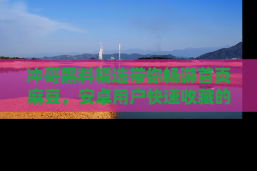 冲哥黑料精选带你畅游首页麻豆，安卓用户快速收藏的秘密武器！