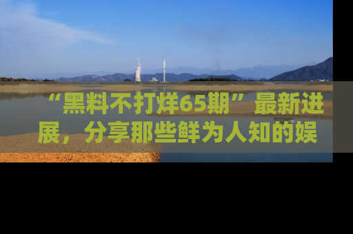“黑料不打烊65期”最新进展，分享那些鲜为人知的娱乐八卦