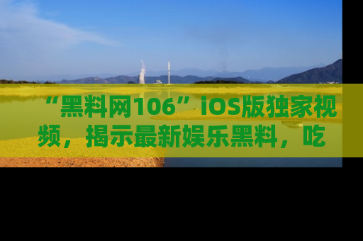 “黑料网106”iOS版独家视频，揭示最新娱乐黑料，吃瓜不停！