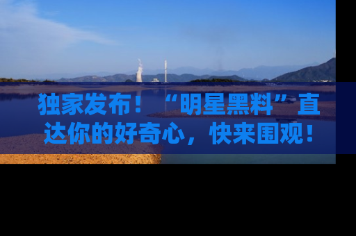 独家发布！“明星黑料”直达你的好奇心，快来围观！