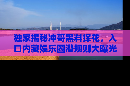 独家揭秘冲哥黑料探花，入口内藏娱乐圈潜规则大曝光
