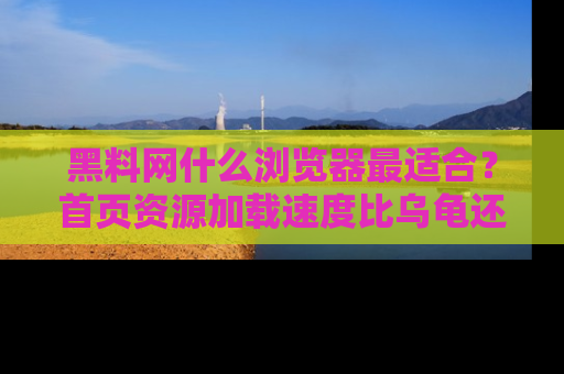 黑料网什么浏览器最适合？首页资源加载速度比乌龟还慢的体验真心吐槽！