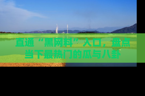 直通“黑网料”入口,盘点当下最热门的瓜与八卦